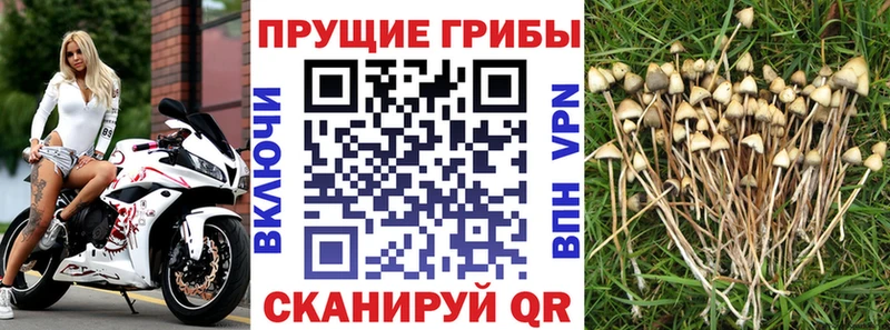 Псилоцибиновые грибы мухоморы  Дмитровск 